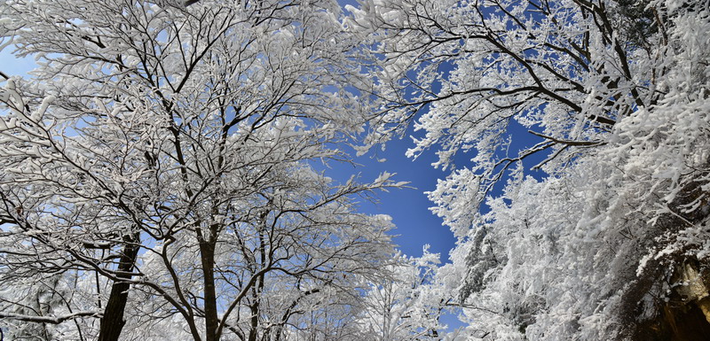 圈椅淌银装冬雪赛北国