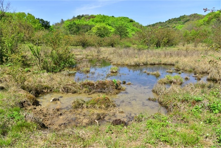春日江山丽  春风花草香