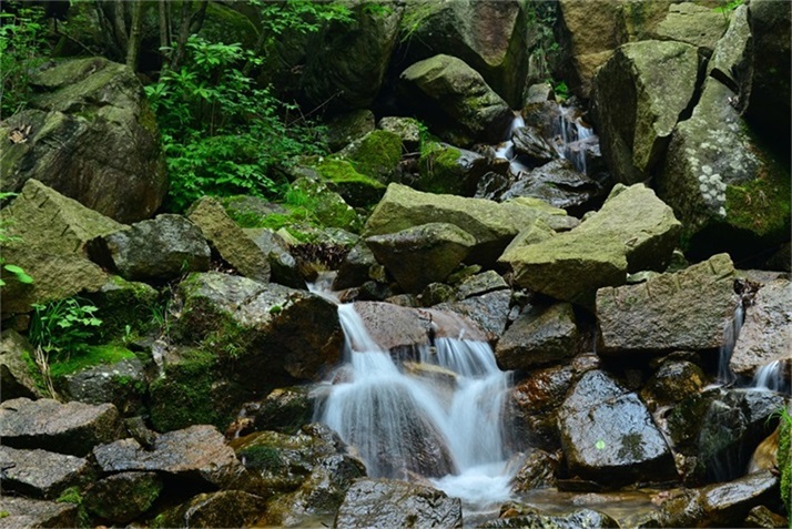 春日江山丽  春风花草香