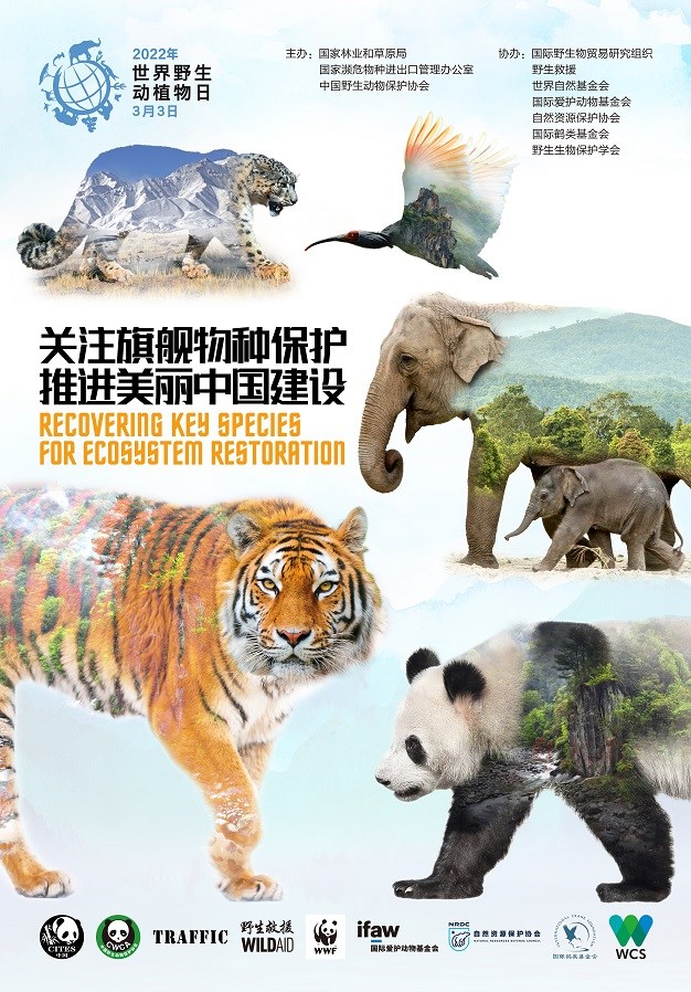 2022年世界野生动植物日-圈椅淌国家湿地公园 生灵之洲