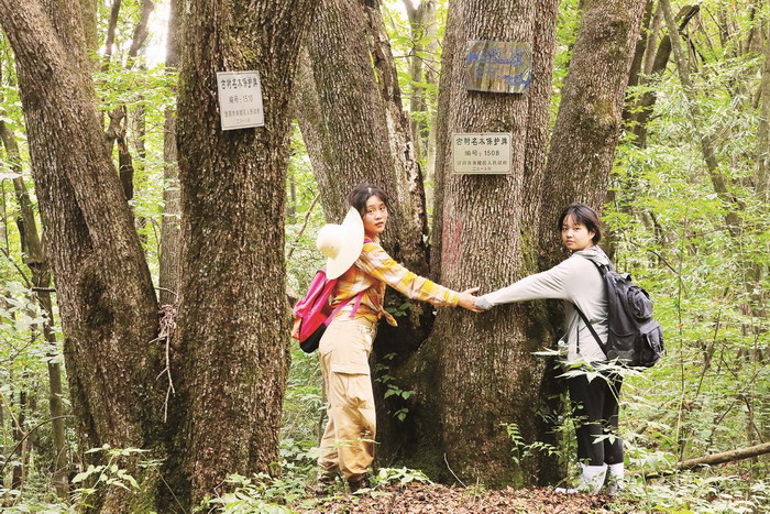 山巅秘境西塞国