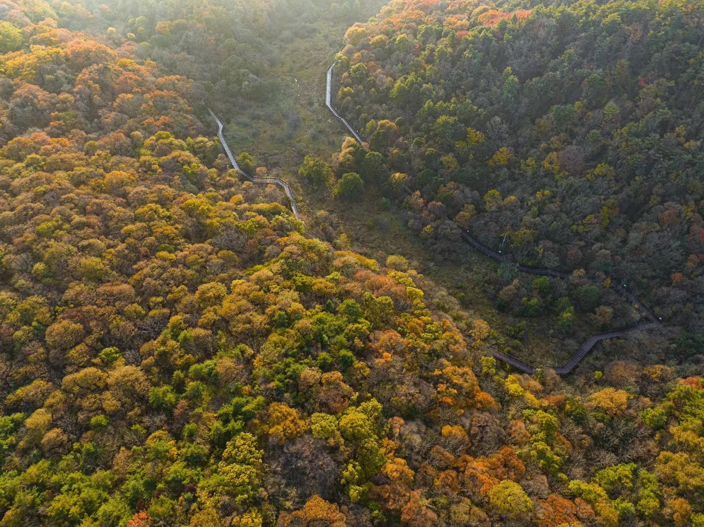圈椅淌：层林尽染惹人“醉”