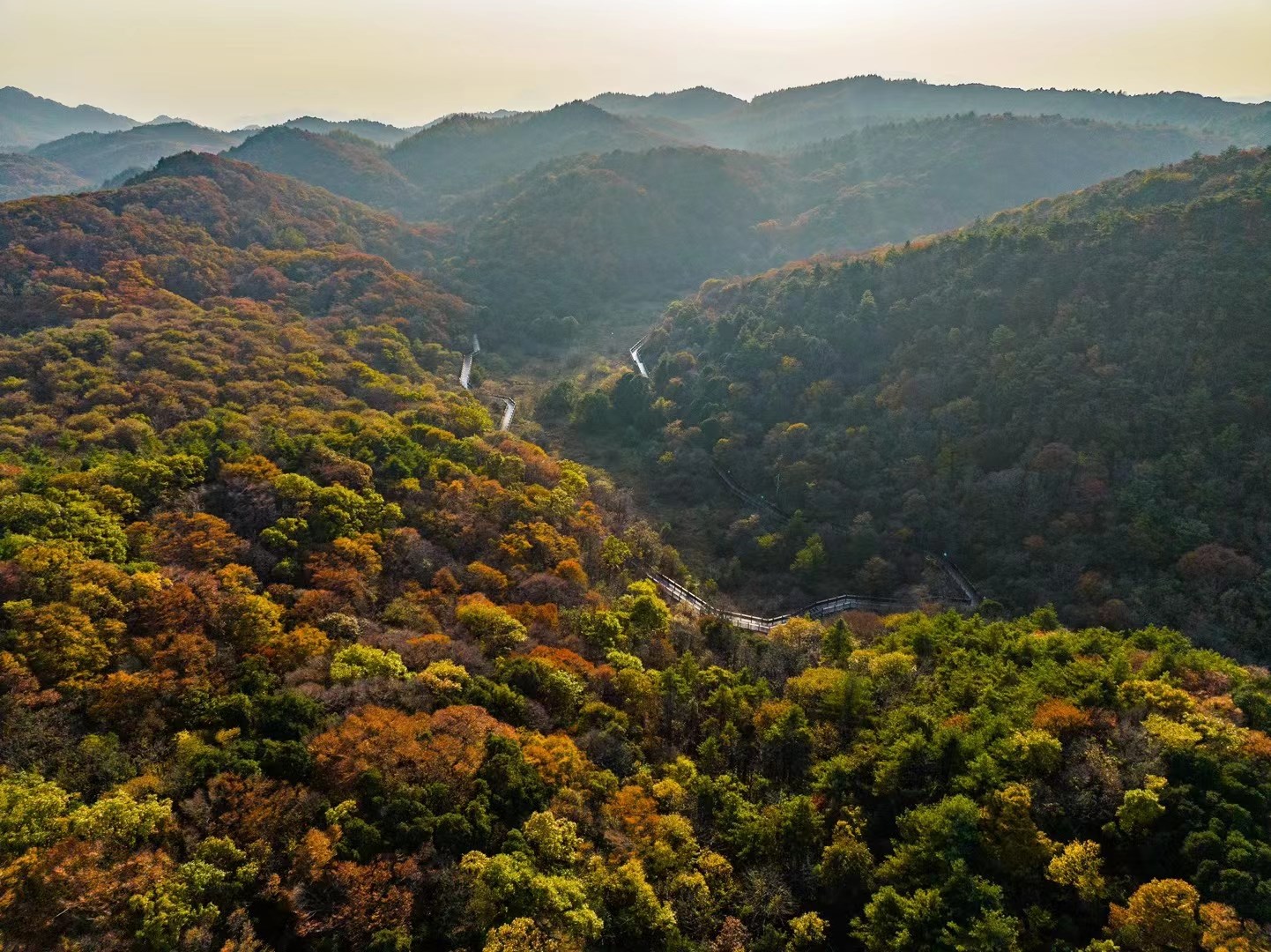 圈椅淌：层林尽染惹人“醉”