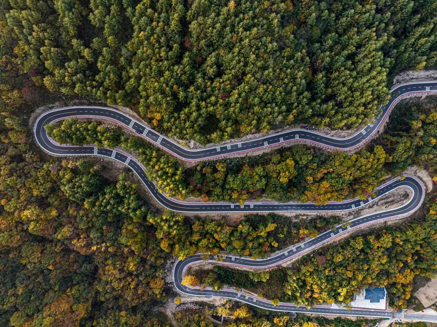 圈椅淌：层林尽染惹人“醉”