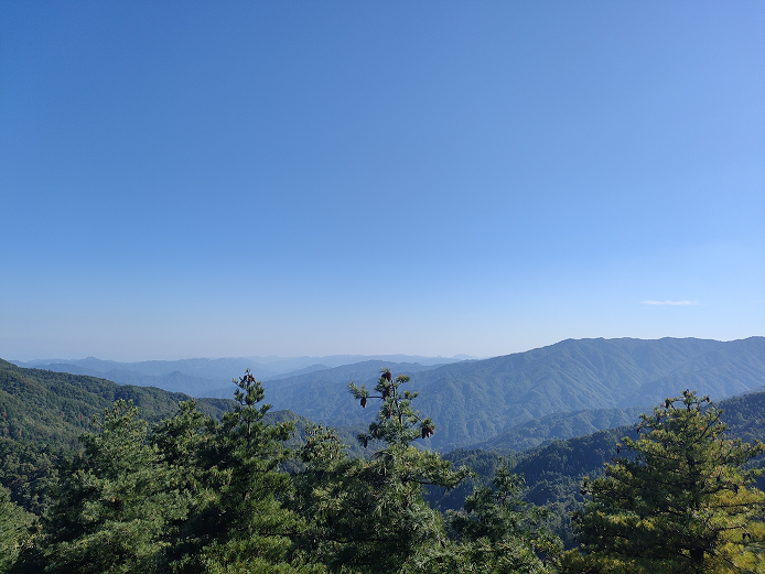 天高云阔圈椅淌