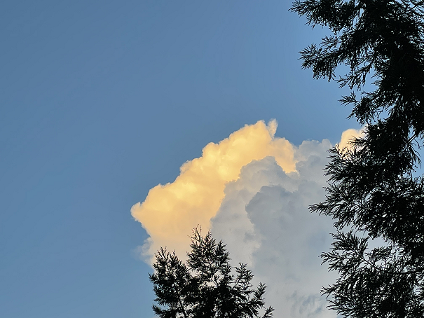 风卷云舒圈椅淌