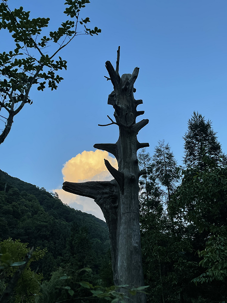 风卷云舒圈椅淌