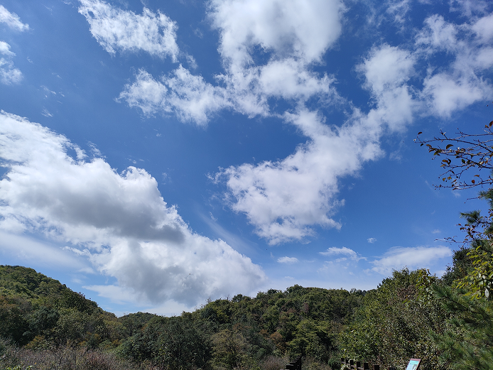 风卷云舒圈椅淌