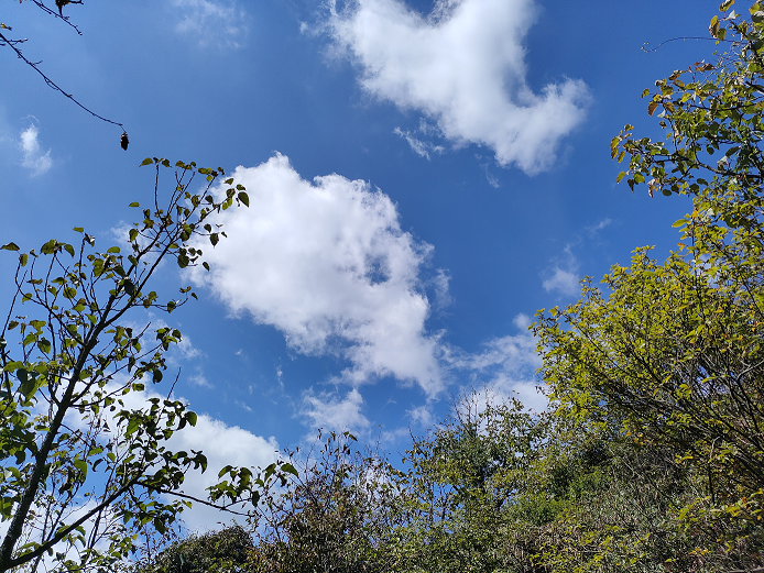 风卷云舒圈椅淌