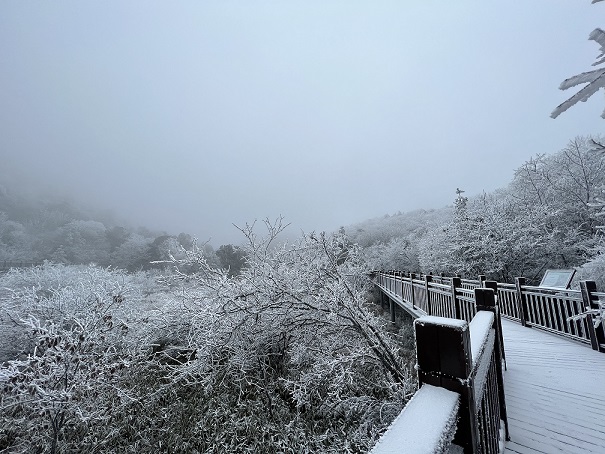 雪消门外千山绿