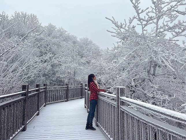 雪消门外千山绿
