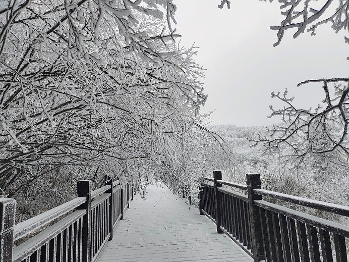 雪消门外千山绿