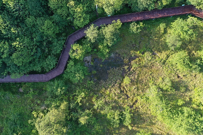 2023年世界湿地日：湿地修复